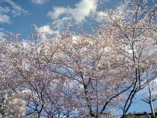 b0035937_22322644.jpg