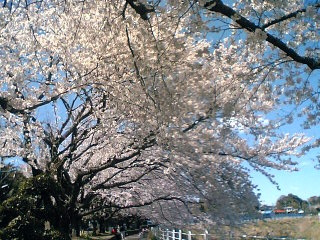 b0035937_2244454.jpg