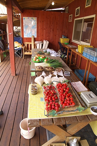 a0034438_16305924.jpg