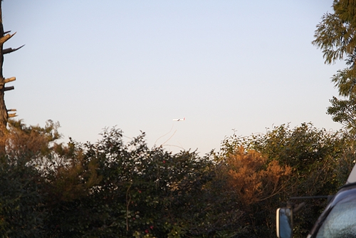 a0034438_16322670.jpg