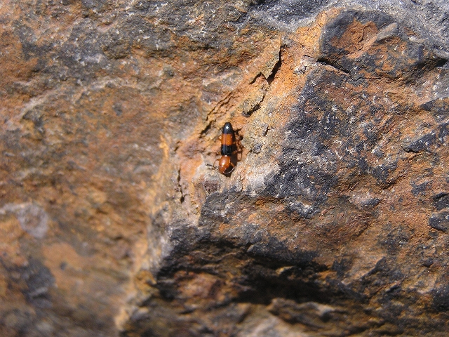 b0099538_15234728.jpg