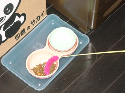 c0132438_2146141.jpg