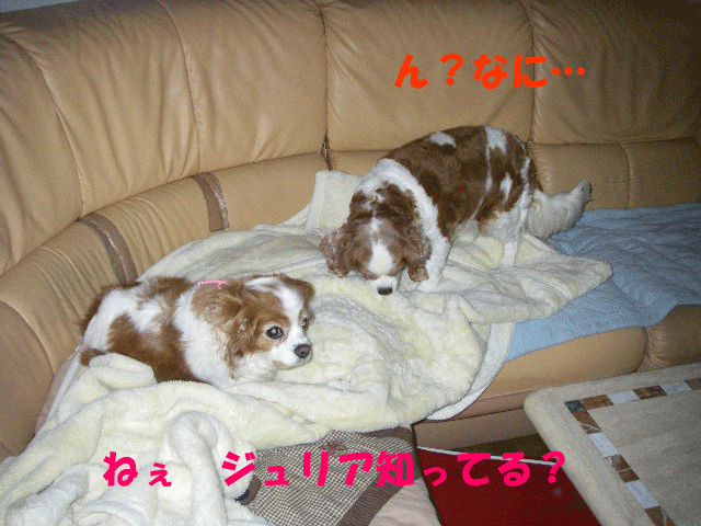 c0136838_043618.gif