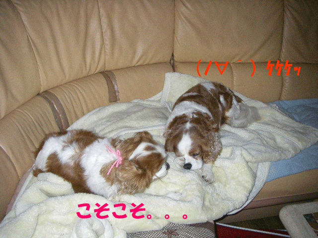 c0136838_051060.gif