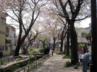 c0033145_2322835.jpg