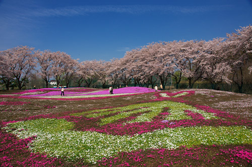 a0003746_14442057.jpg
