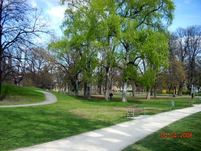 a0072247_5591419.jpg