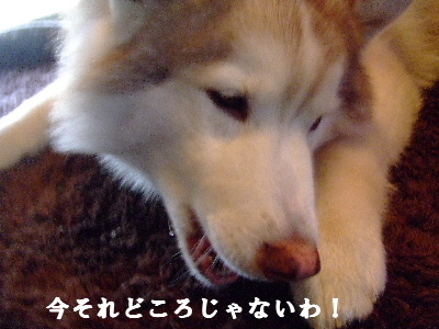 e0121548_20473578.jpg