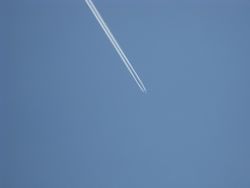 d0118555_1752871.jpg