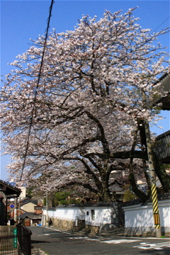 e0014058_22474443.jpg