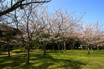 e0014058_2250360.jpg