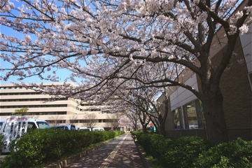 e0014058_22553623.jpg