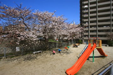 e0014058_2322180.jpg