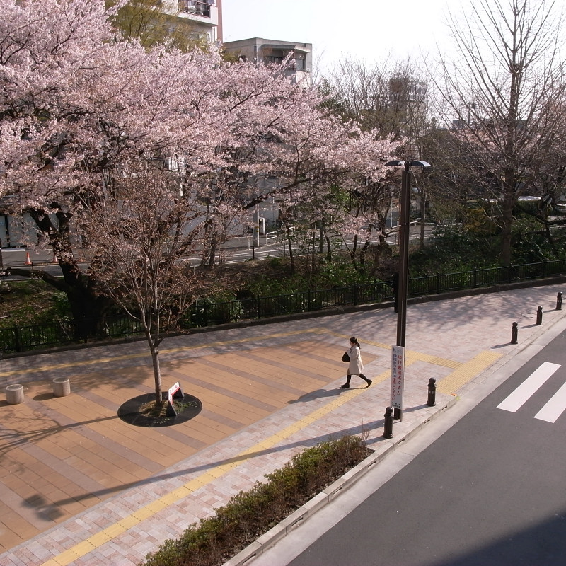 c0084666_0231720.jpg
