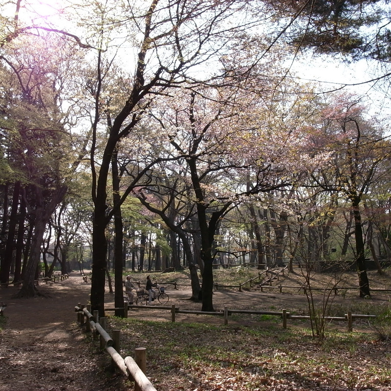 c0084666_0235565.jpg