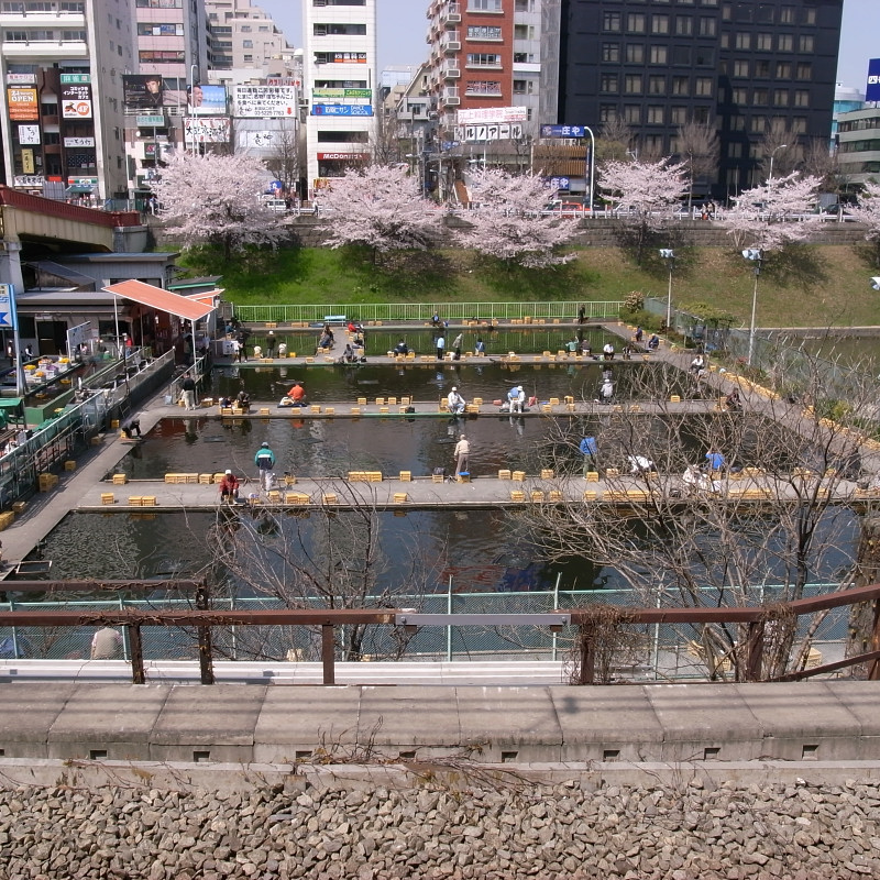 c0084666_0241599.jpg