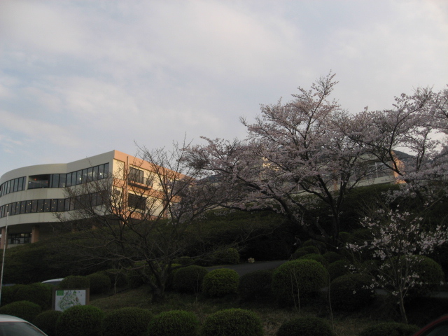 f0016066_221439.jpg