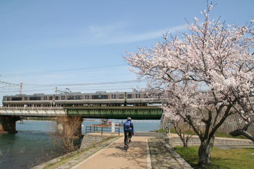b0055171_21321762.jpg