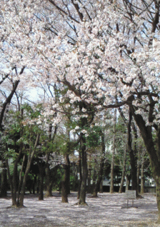 e0052973_23353252.gif