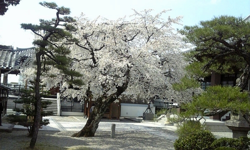 e0120575_15515027.jpg