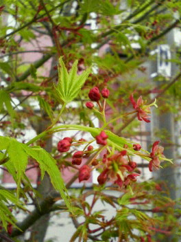 f0089079_144736.jpg