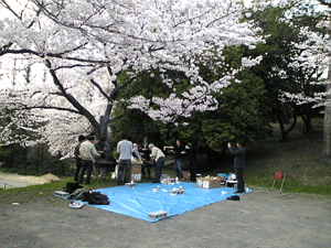 a0096787_22364640.gif