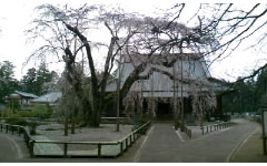 c0072589_0555863.jpg