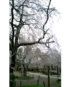 c0072589_0574622.jpg