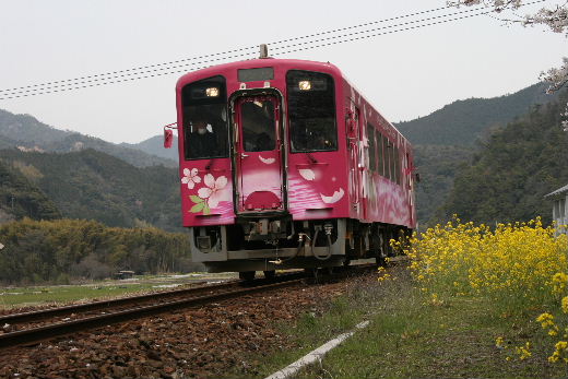 d0070289_21573256.jpg