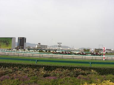 c0114993_23143018.jpg