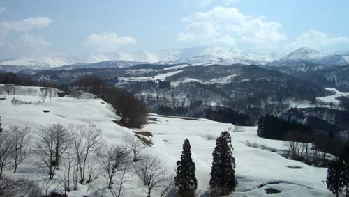 b0099994_19314548.jpg