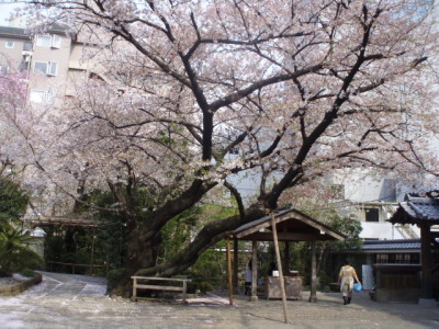 c0086895_2256084.jpg