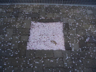 c0086895_22594237.jpg
