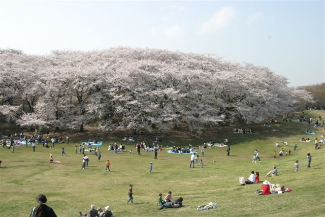 f0123098_0304546.jpg
