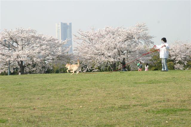 f0123098_0415856.jpg