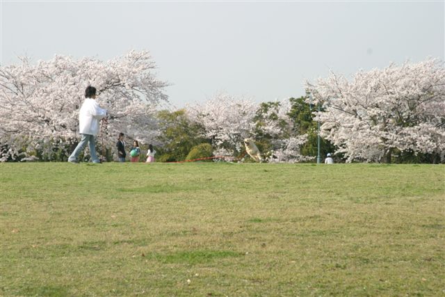 f0123098_0423195.jpg