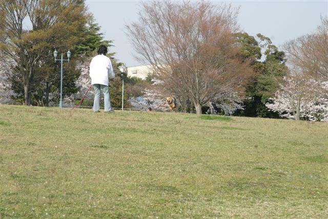 f0123098_0431435.jpg
