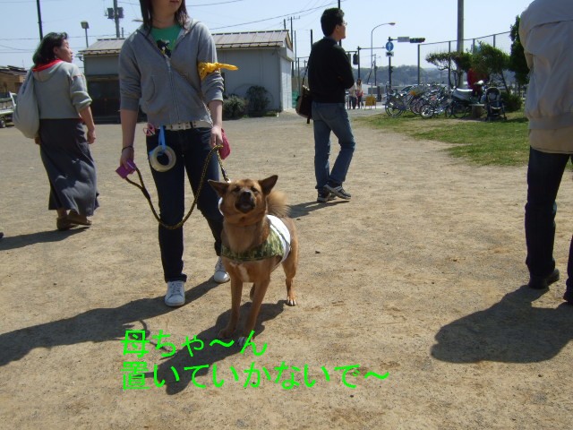 b0087400_2336012.jpg
