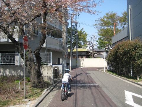 b0097200_14272210.jpg