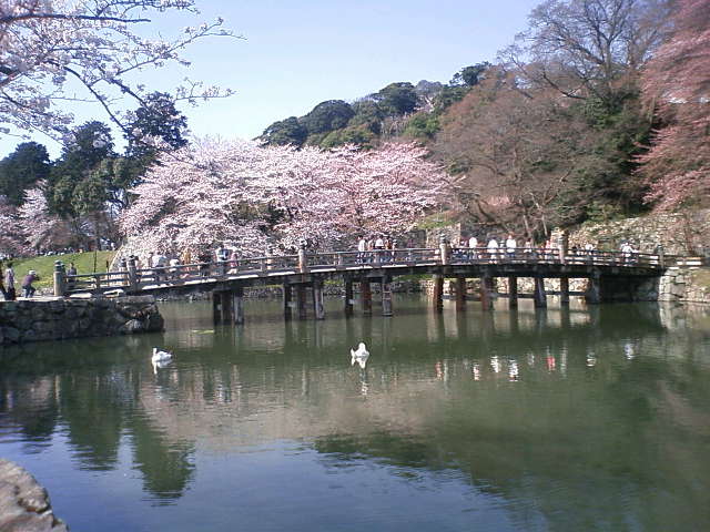 e0037600_20371268.jpg