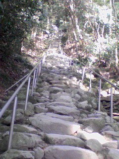 b0021101_22251771.jpg
