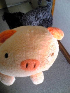 c0037701_12152220.jpg