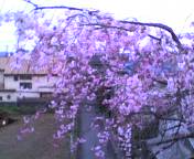 c0071003_20453215.jpg