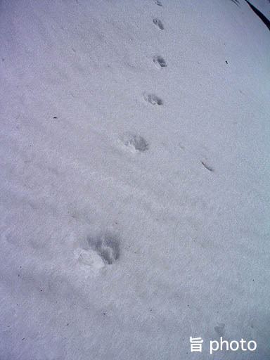 b0061004_9124525.jpg