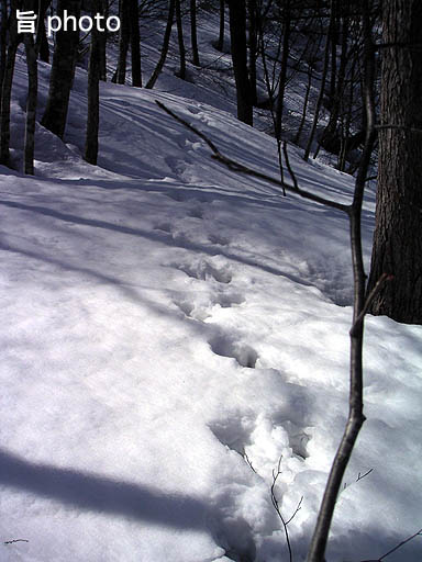 b0061004_914225.jpg