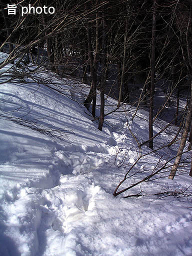 b0061004_914940.jpg
