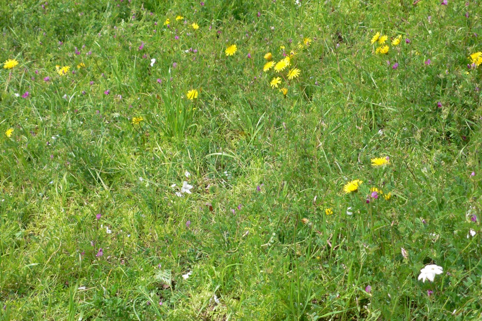 d0136804_8414725.jpg