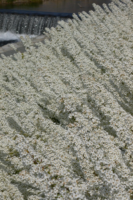 d0136804_8424051.jpg