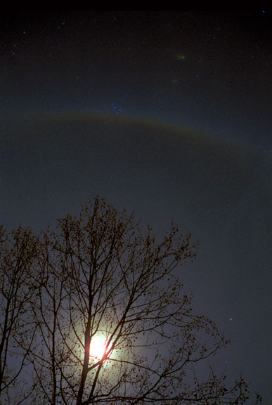 e0138804_10532636.jpg