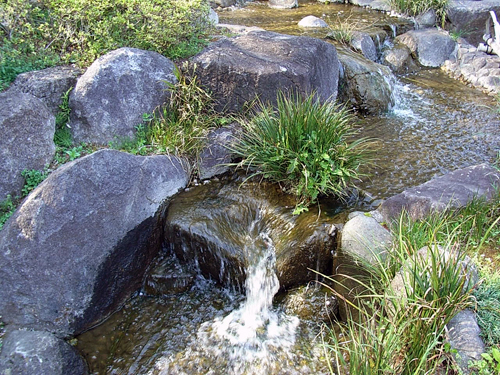a0068306_23144266.jpg